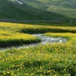 Hakkari-Yapılacak-Şeyler-Bercelan-Yaylası