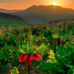 Tarih-Öncesi-Dönemde-Hakkari