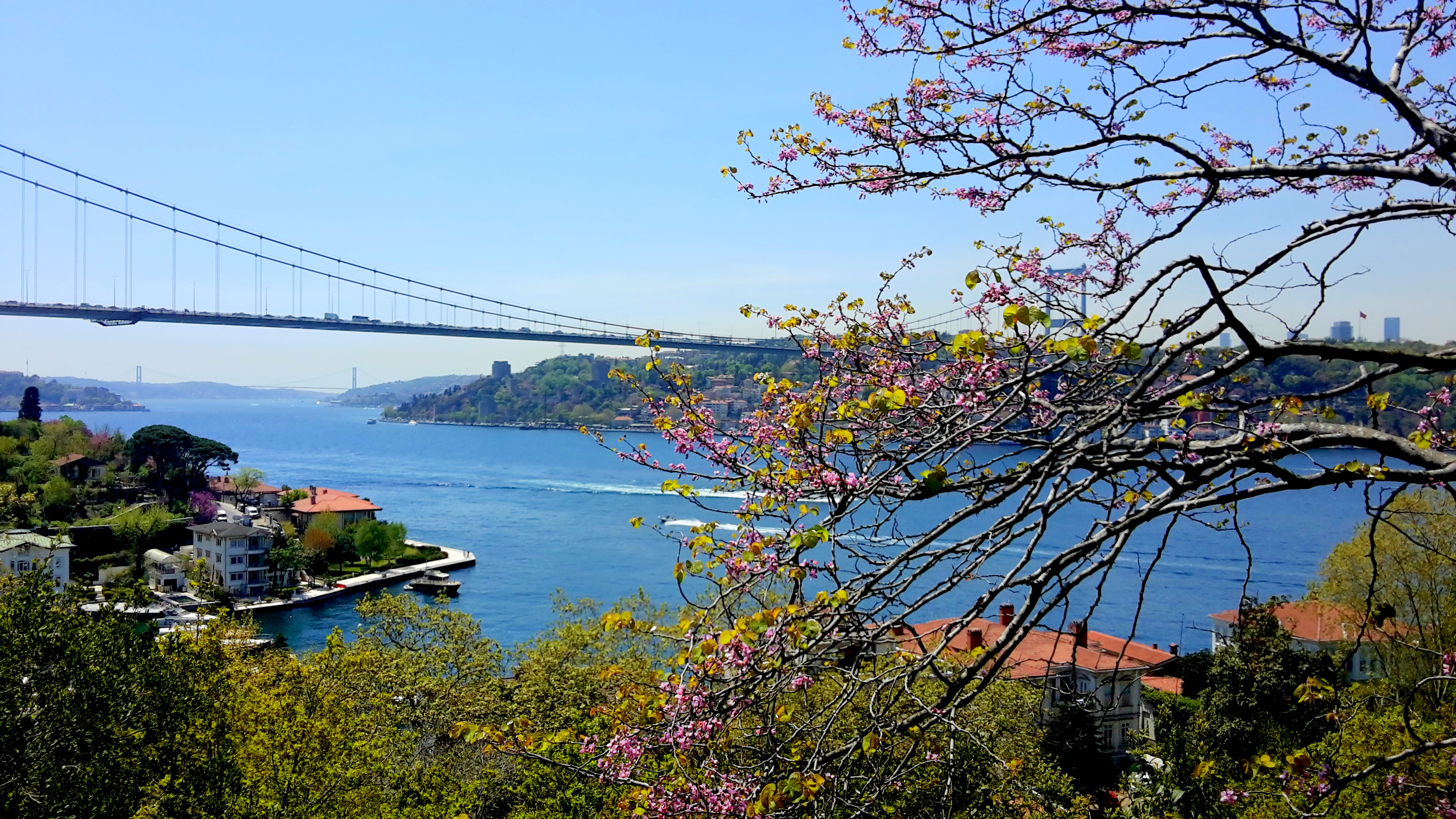 Mihrabat Korusu İstanbul Mihrabat Korusu İstanbul