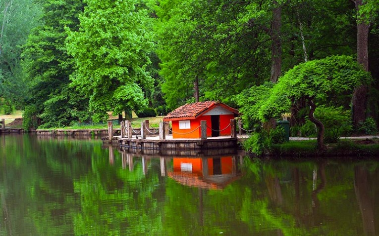 belgrad-ormani-2 belgrad-ormani-2